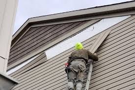 Best Vinyl Siding Installation  in Bling, AR